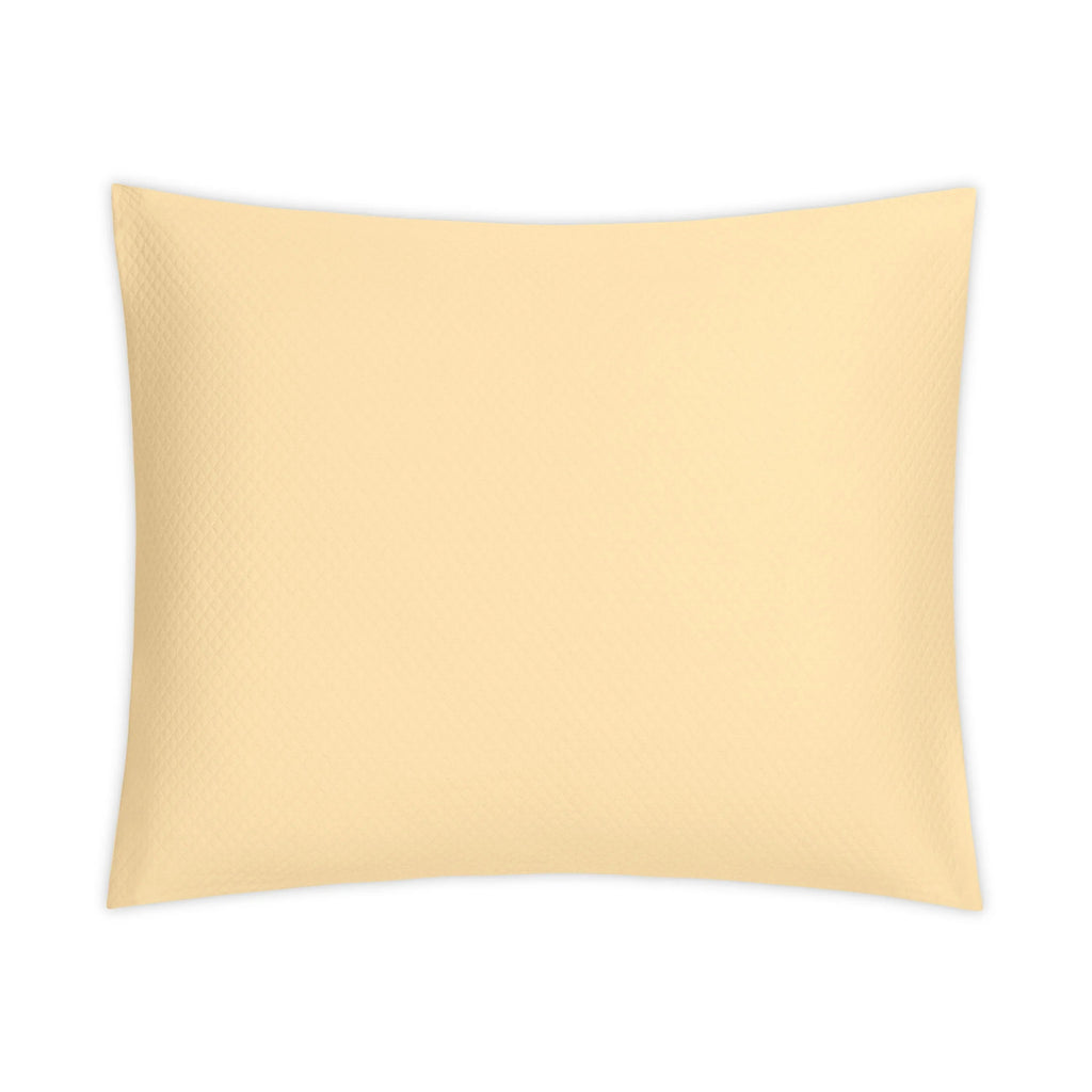Sierra Swatch